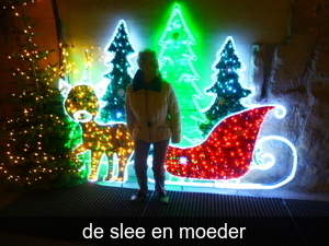 slee