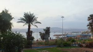 DSCF4551