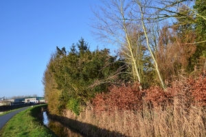 DSC_1252