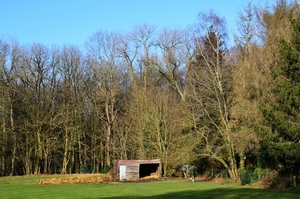 DSC_1310