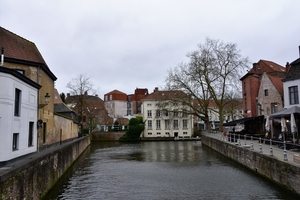DSC_4211