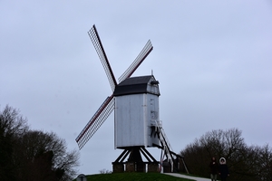 DSC_4212