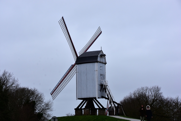 DSC_4212