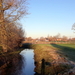 Mandelbeek-9-02-20