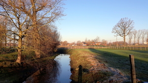 Mandelbeek-9-02-20