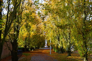 Herfst-Oud Kerkhof-Roeselare