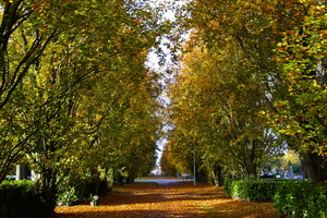 Herfst-Oud Kerkhof-Roeselare