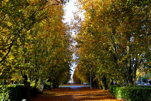 Herfst-Oud Kerkhof-Roeselare