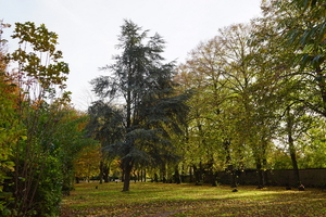 Herfst-Oud Kerkhof-Roeselare