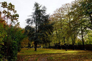 Herfst-Oud Kerkhof-Roeselare