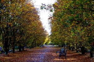 Herfst-Oud Kerkhof-Roeselare