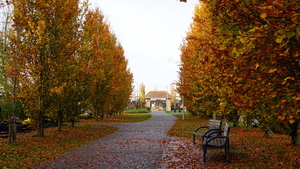 Herfst-Oud Kerkhof-Roeselare