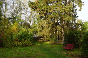 Herfst-Oud Kerkhof-Roeselare