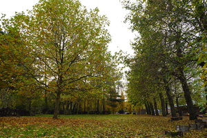 Herfst-Oud Kerkhof-Roeselare