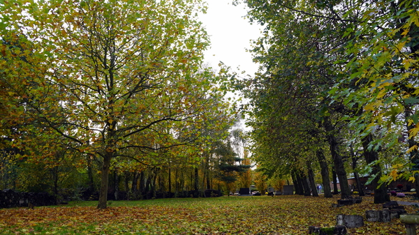 Herfst-Oud Kerkhof-Roeselare