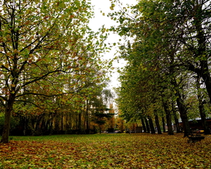 Herfst-Oud Kerkhof-Roeselare