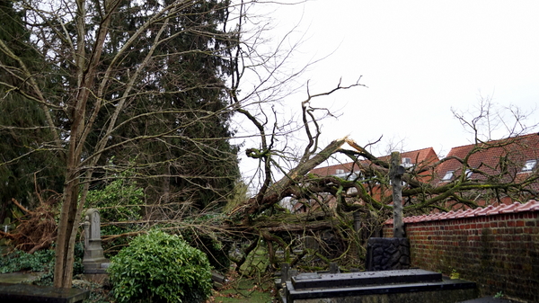 ROESELARE-STORM,