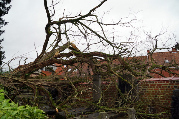 ROESELARE-STORM,