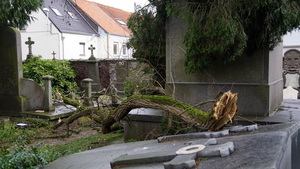 ROESELARE-STORM,