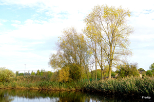 Roeselare-Stadspark-28-10-2022