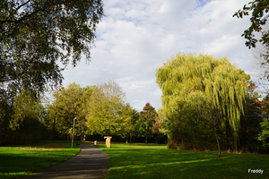 Roeselare-Stadspark-28-10-2022