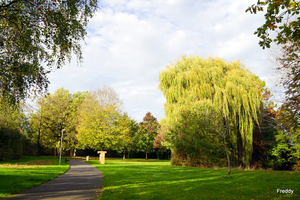 Roeselare-Stadspark-28-10-2022