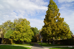 Roeselare-Stadspark-28-10-2022