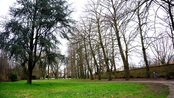 Oud Kerkhof-20-2-2023