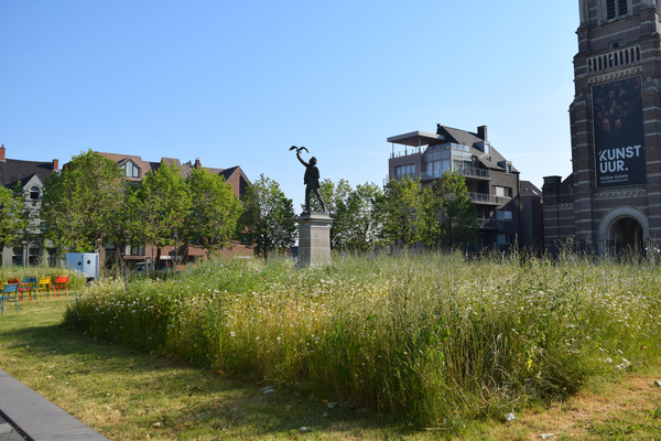 Rodenbach-Conincksplein