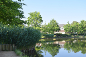 Ronde Kom-Roeselare