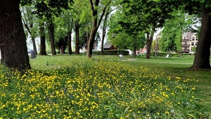 Park Vandewalle-3-5-2025