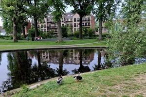 Parkvandewalle-3-5-25