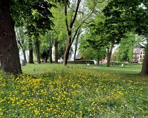 Vandewalle-3-5-2025