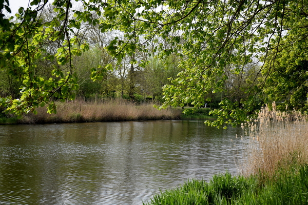 DSC_0018