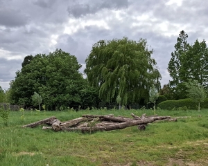 Ppoort plukgeluk-3