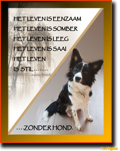 een vriend