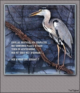 Blauwe Reiger