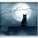 Katje in het maanlicht PhotoShopmanipulatie