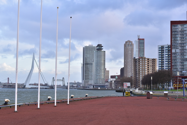 Erasmusbrug en wijk Katendrecht