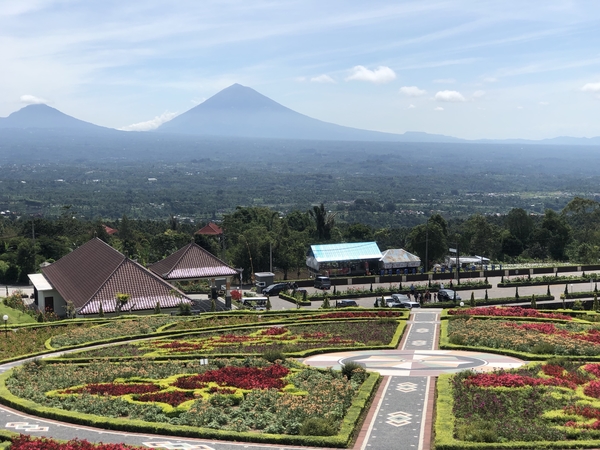 Blooms Garden