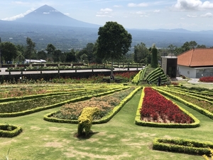 Blooms Garden