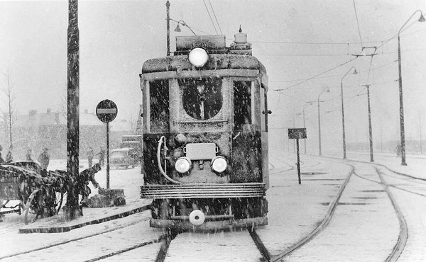 De Blauwe in de sneeuw