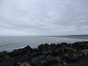 IMG_20200316_134621