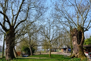 DSC_1556