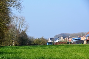 DSC_1559