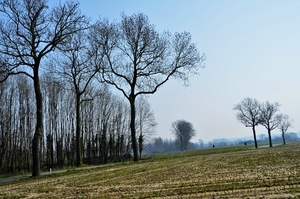 DSC_1564