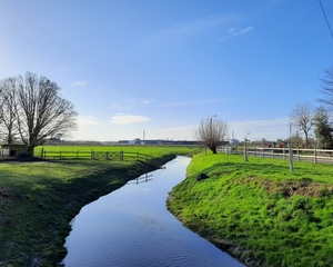 De Mandel-Roeselare-Schiervelde-14-03-2020