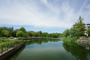 Roeselare-Stadspark-1-06-2020