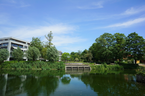 Roeselare-Stadspark-1-06-2020