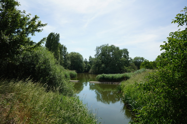 Roeselare-Schiervelde-1-06-2020